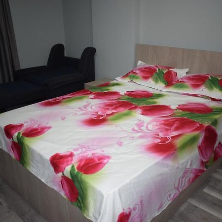Apartament Parc Central Rhbm Baia Mare Buitenkant foto
