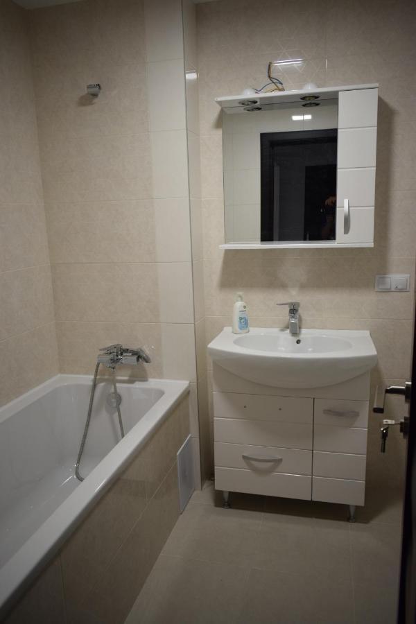 Apartament Parc Central Rhbm Baia Mare Buitenkant foto