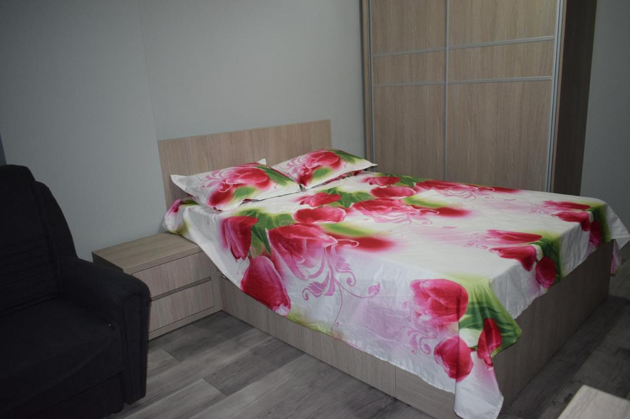 Apartament Parc Central Rhbm Baia Mare Buitenkant foto