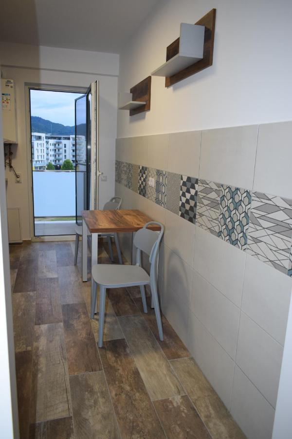 Apartament Parc Central Rhbm Baia Mare Buitenkant foto